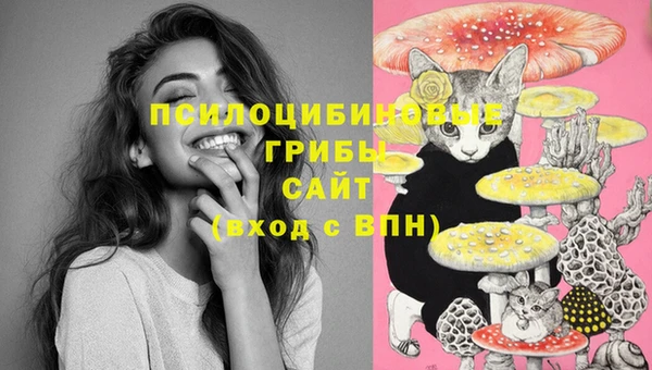 MDMA Premium VHQ Дмитровск