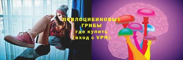 мяу мяу мука Дмитров