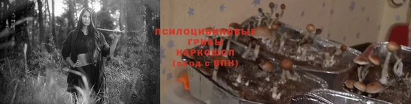 мяу мяу мука Дмитров