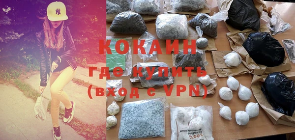 ПСИЛОЦИБИНОВЫЕ ГРИБЫ Сясьстрой