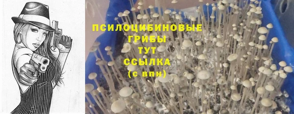 мяу мяу мука Дмитров